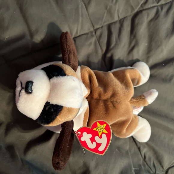 Ty Beanie Baby 1996 Bernie - Picture 1 of 6